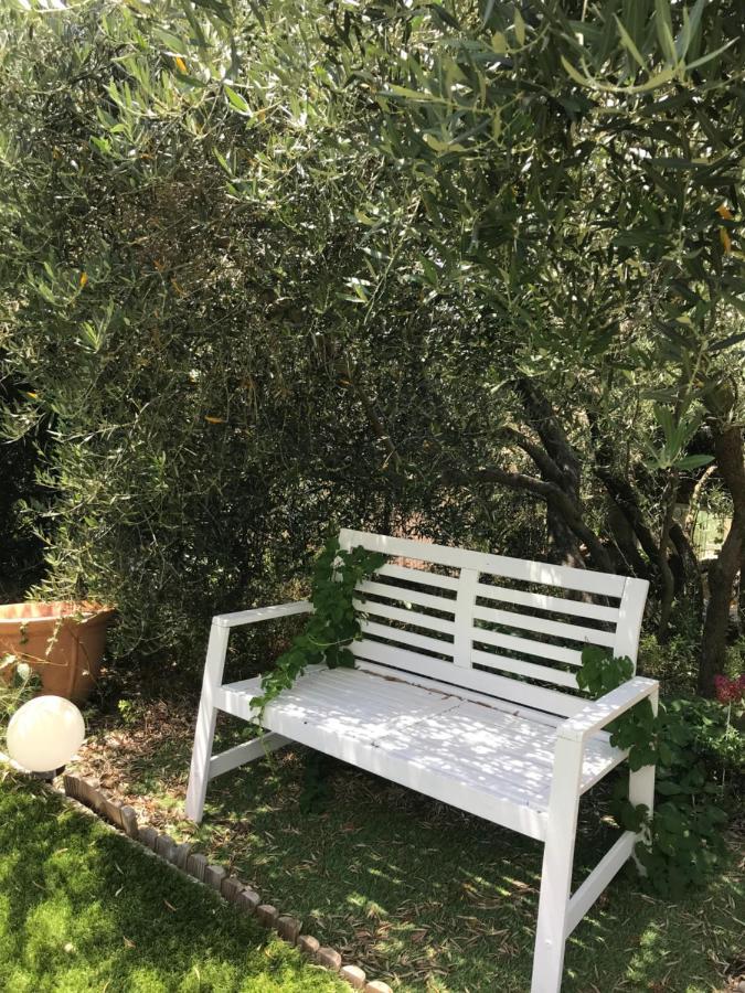 Chambre D Hotes Au Coeur Des Oliviers Marseilles Buitenkant foto